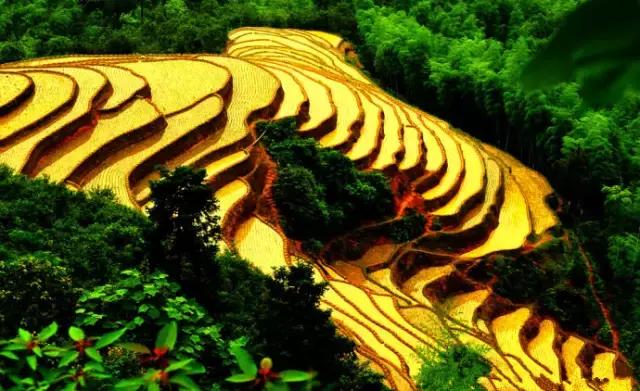 南昌自驾游攻略景点推荐一日游,南昌附近免费好玩的地方自驾游