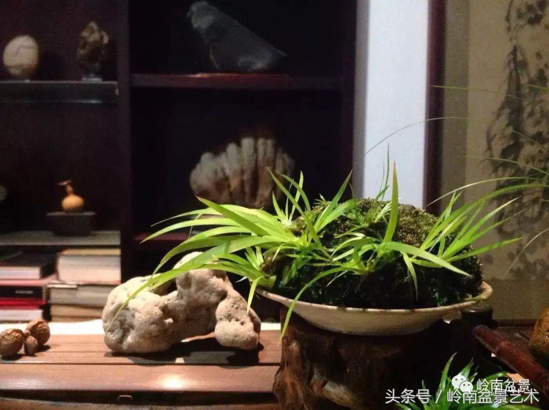 过年送礼好不好,过年送礼单数还是双数好