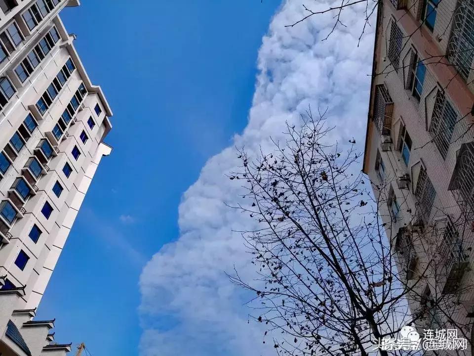 连城再现“云墙”如同“星际穿越”……