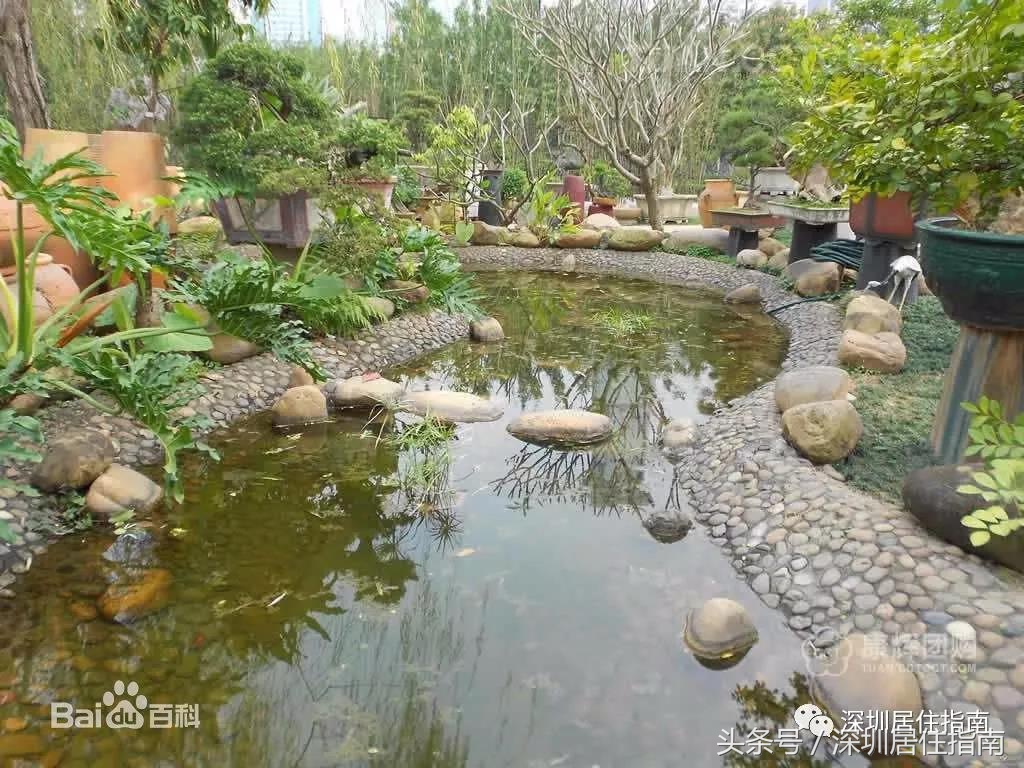 香蜜湖德仕堡新闻,香蜜湖1979拆除最新消息