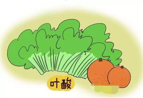 备孕叶酸是每天服用0.4还是0.8呢?很多人有疑问!