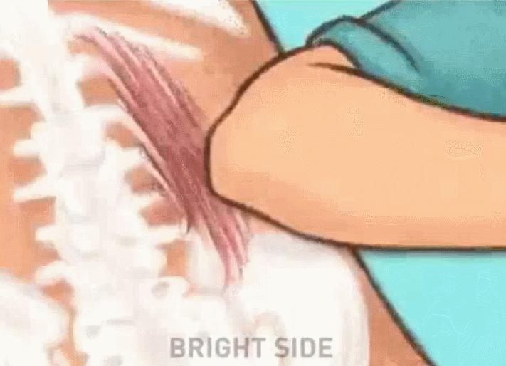 养生按摩身体手法全过程,1小时按摩全身教程