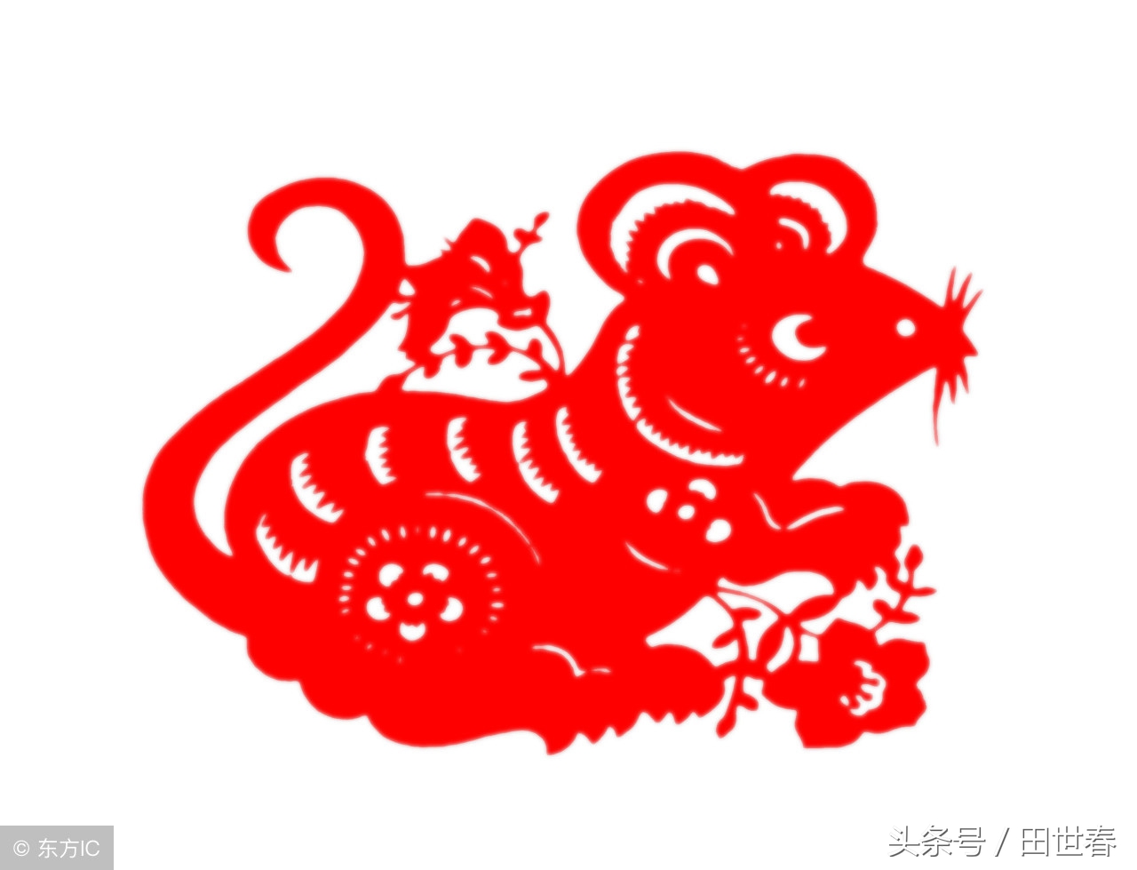 2018年十二生肖整体运势如何呢,2018年的12生肖运势详解