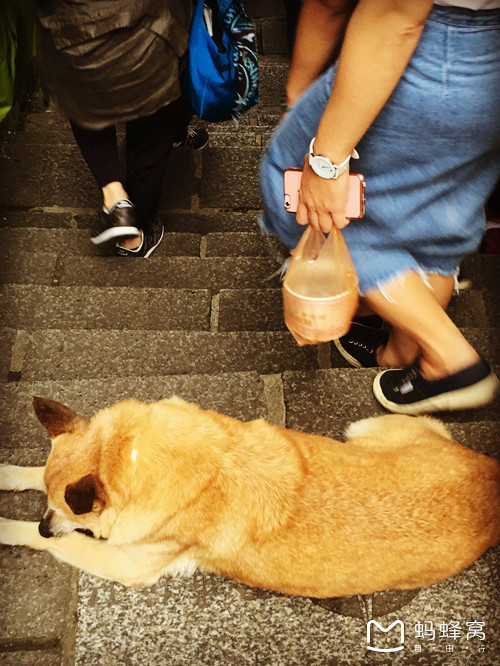 逆时针环岛骑游历时九天完美收官,一路王