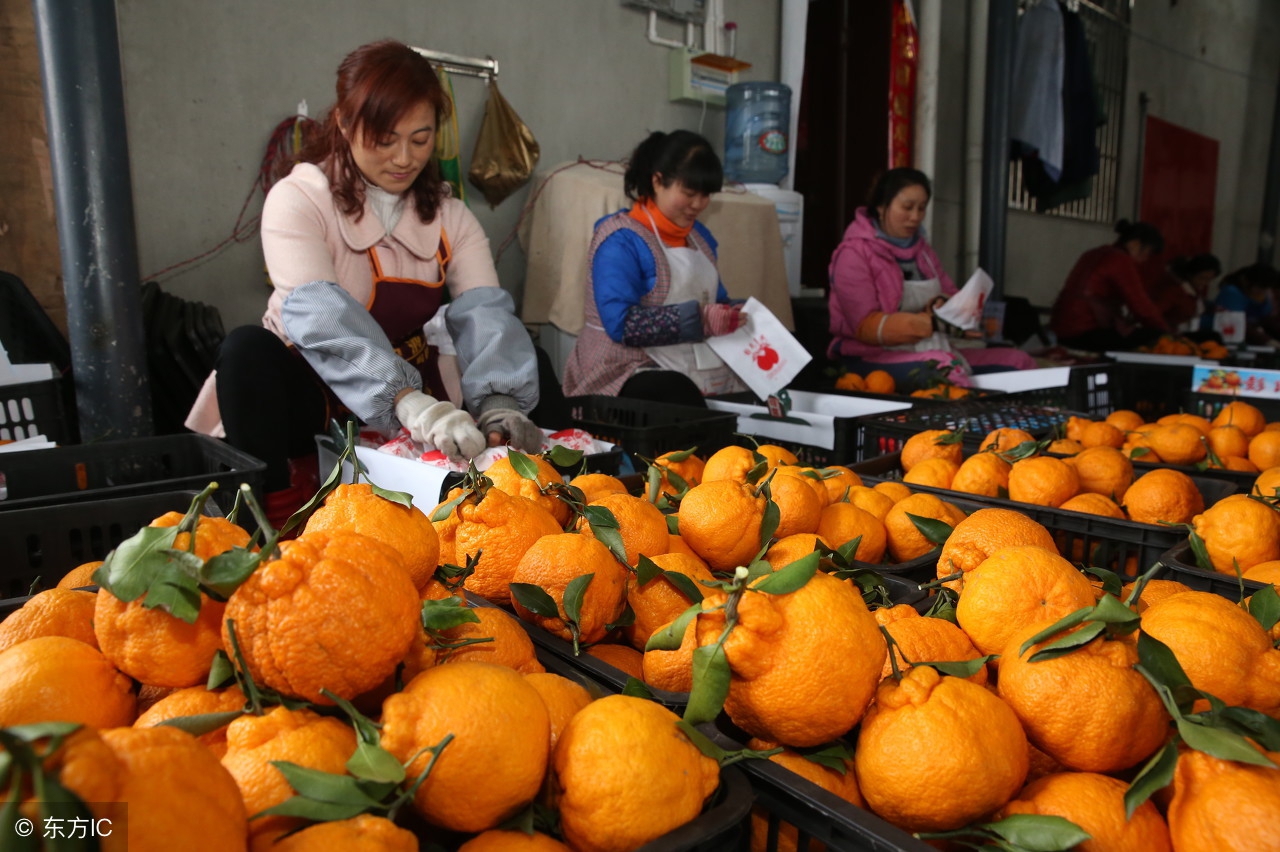 盘点两种颜值很丑的水果,4种难以下咽的水果长相也奇葩