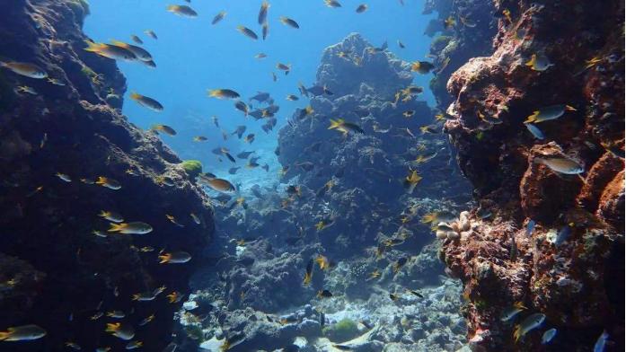 普吉岛各大海滩,普吉岛五个小岛