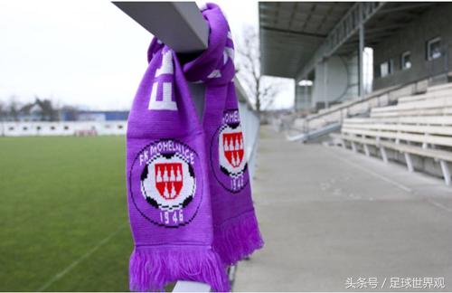 世界足球假球案,欧洲五大联赛假球事件