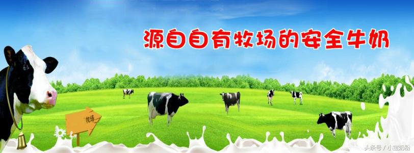 鐧借姳鑺辩殑鐗涘ザ鍊掓帀,鐧借姳鑺辩殑鐗涘ザ