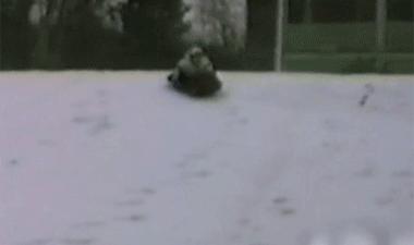 不可思议的进球,不可思议的进球图