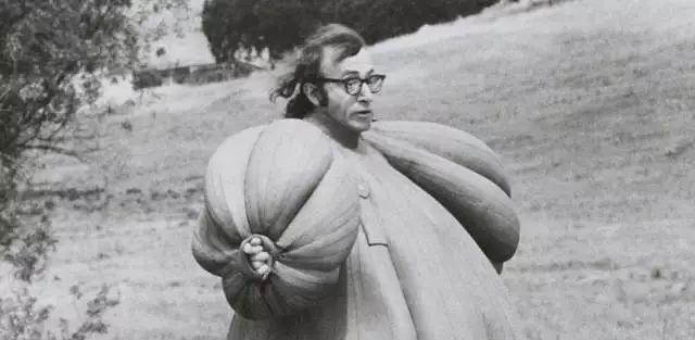 伍迪艾伦电影解说,伍迪艾伦的电影