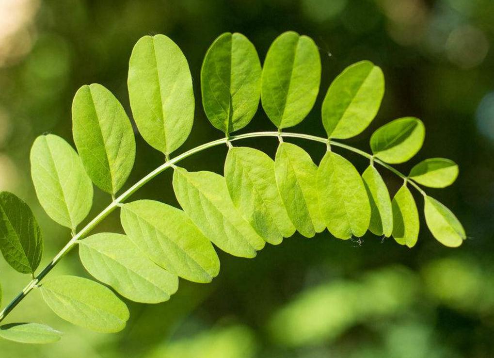 佛性知行合一是王道,佛性修养