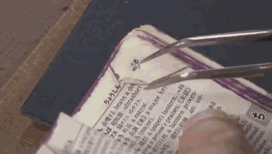 鍙ょ睄鏃т功淇,鏃ユ湰鏃т功淇