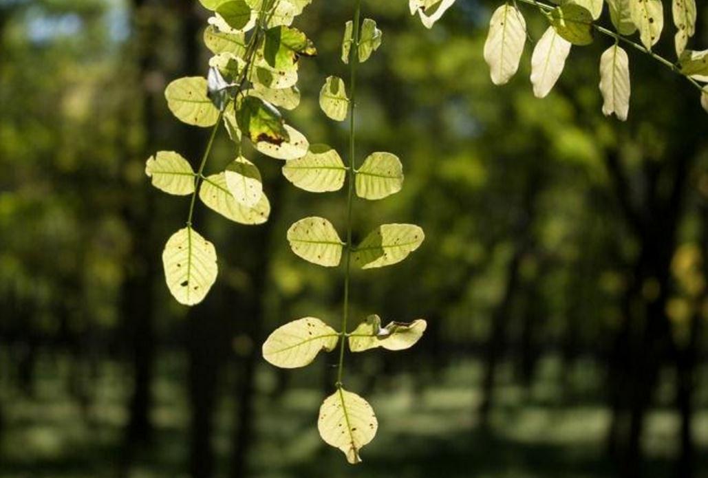 佛性知行合一是王道,佛性修养