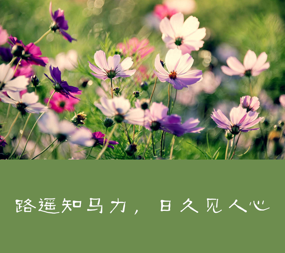 走对路做对事的句子,走对路做对事