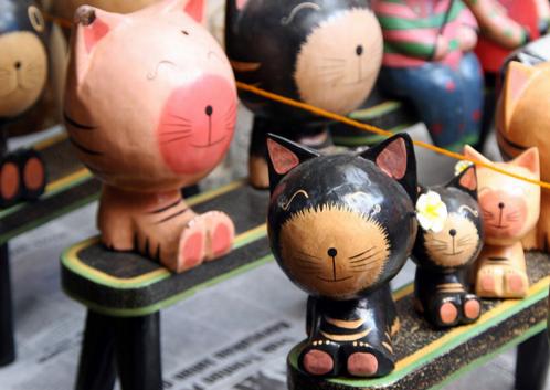 适合猫咪旅游的地方,盘点最美的猫咪风景