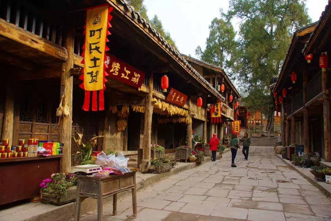 广元市柏林樱花节,广元柏林大型樱花节