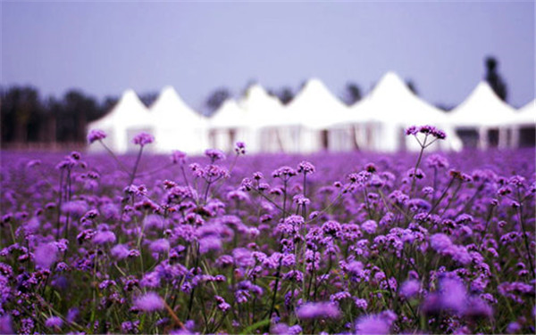 北京情人节约会攻略,情人节最适合情侣约会的地方