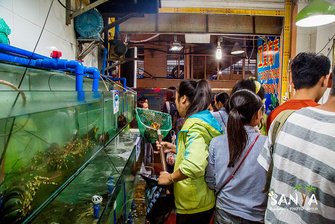 三亚离海南有多少公里,三亚一生去几次