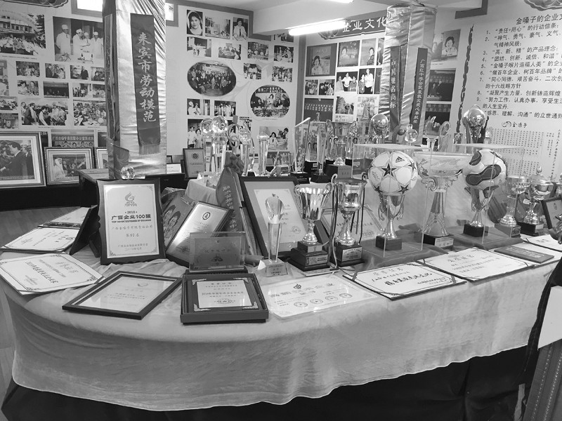 广西金嗓子集团产品,广西金嗓子