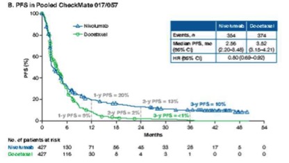 纳武单抗阳性,纳武单抗一年费用2024年