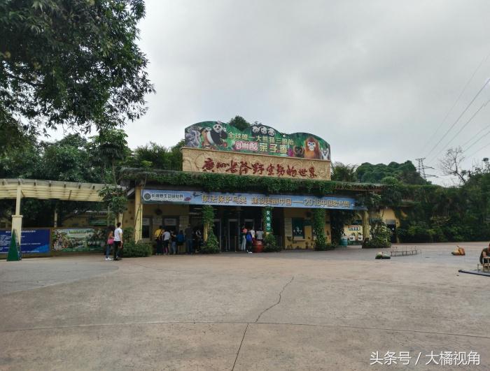 长隆野生动物园含水上乐园,长隆野生动物园大马戏飞鸟乐园