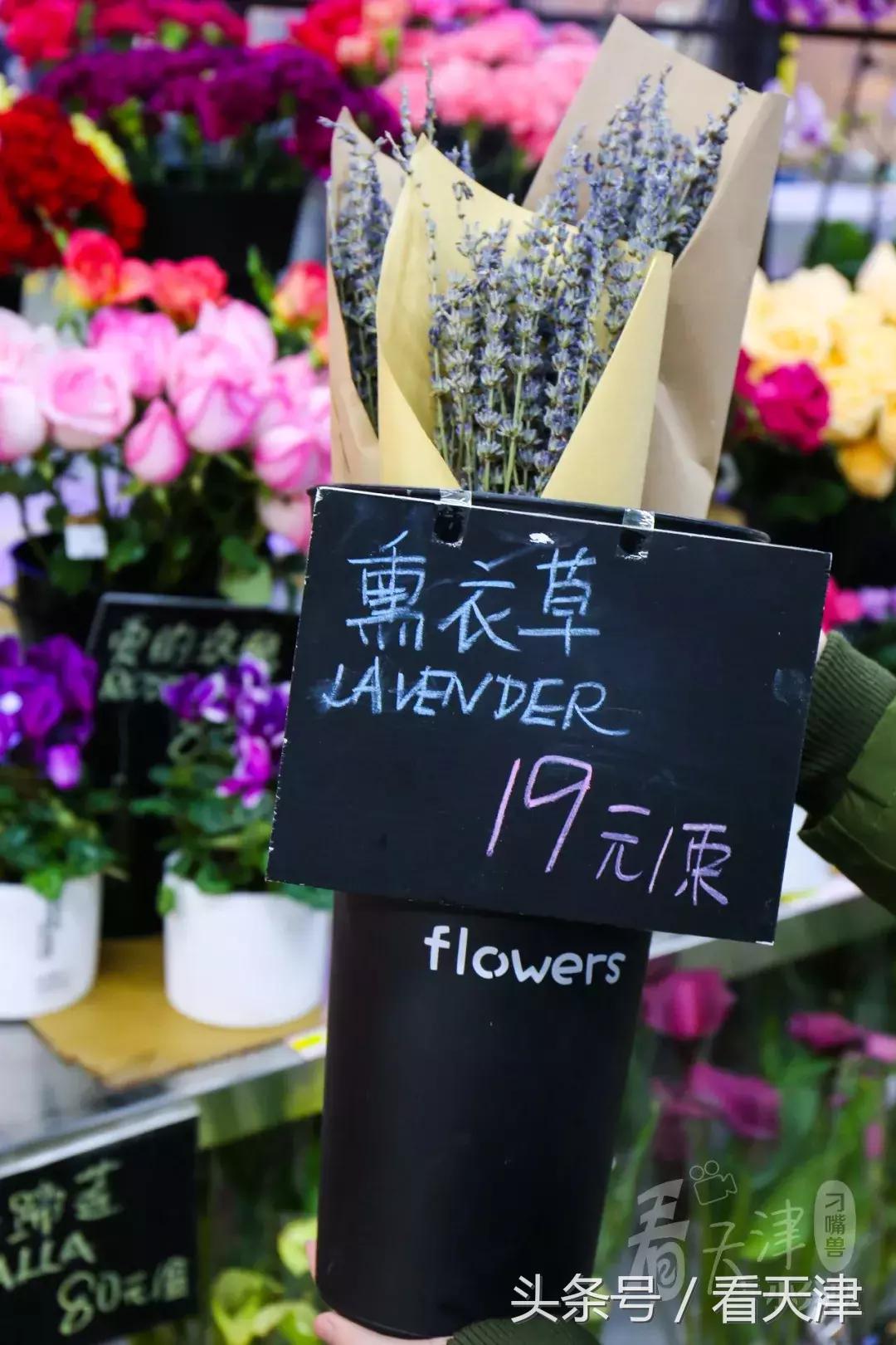 天津超级大市集,天津大胡同年货市场