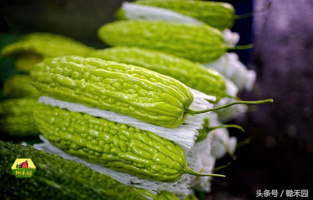 过年长胖十几斤该如何减肥,过年期间长胖怎么减肥