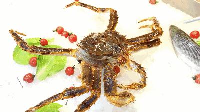 天津大胡同市集,天津最全年货市集都在这儿了