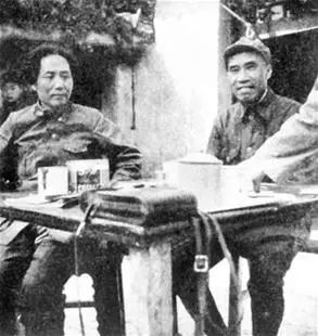 它为何成为耀眼的黑马,它为什么被视为国宝