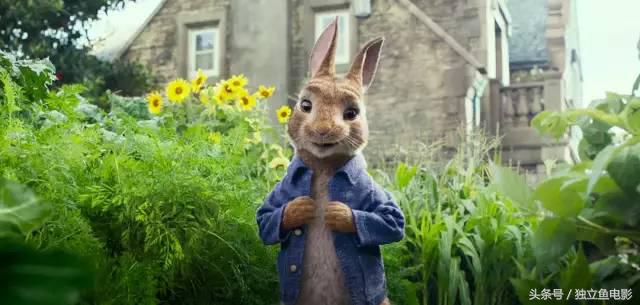 2月份有什么好看的电影大片不,2月份上映的大片