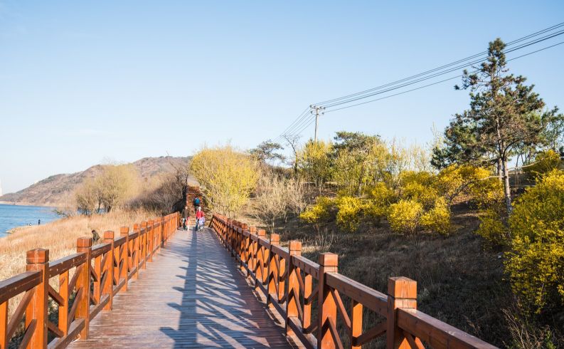 春节活动时间表大连,大连大型活动时间表