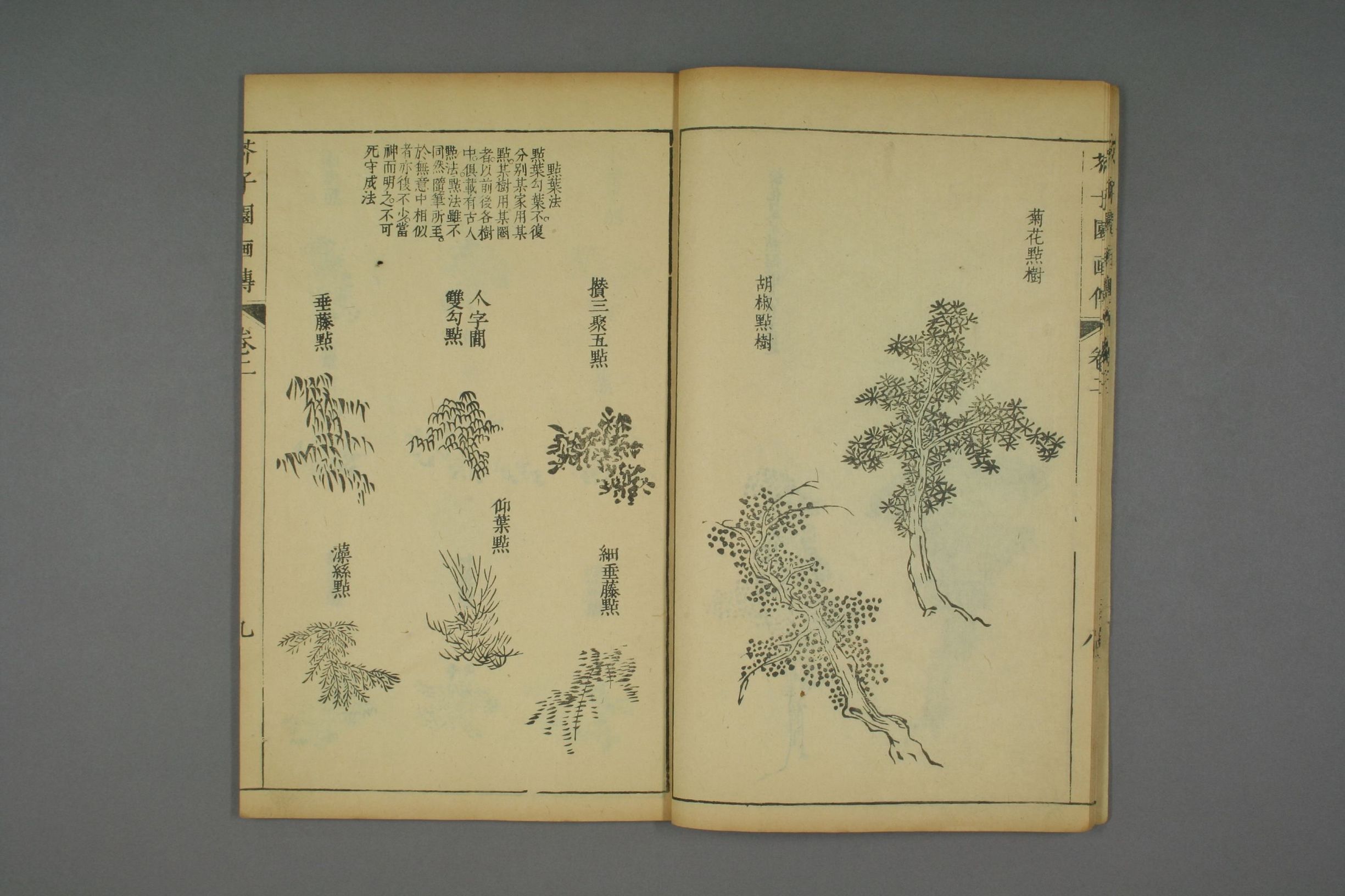 康熙原版芥子园画传全套,芥子园画传价格