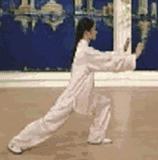 太极二十四式入门基本动作,太极入门学24式吗