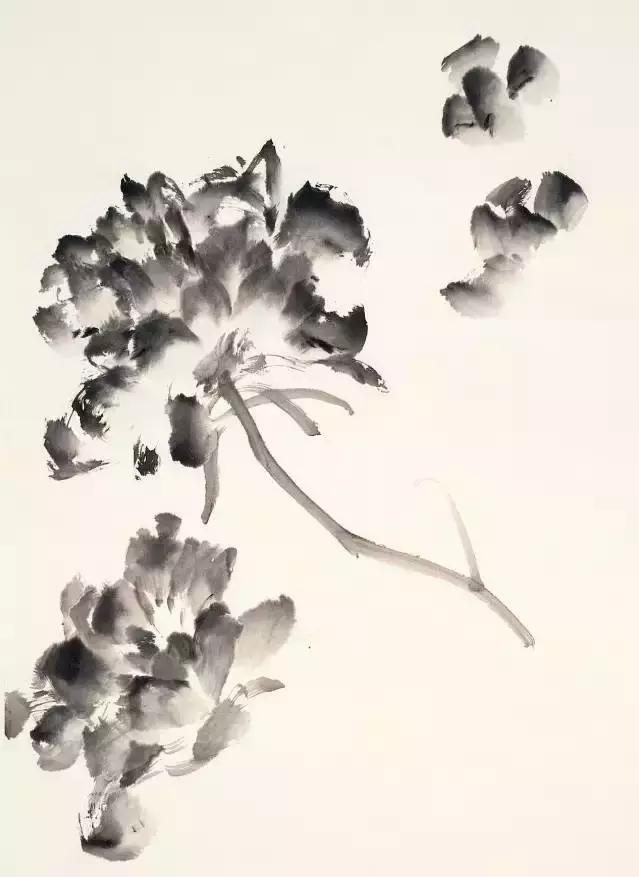 果果小写意牡丹画法教学视频,王绣写意牡丹画法零基础视频