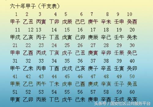 2018年的狗年运势图,狗年生肖有哪些