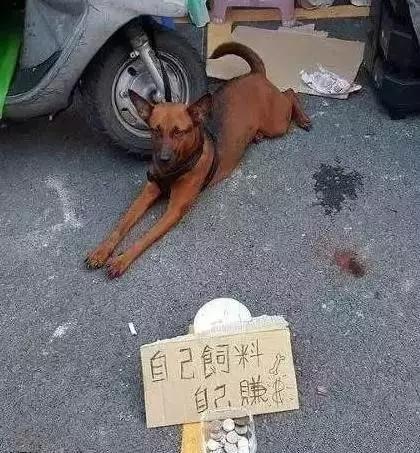 假如你的老公一夜未归,说脖子上的印记是海鲜过敏,你会怎么做?