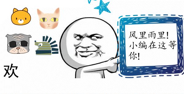 狗狗爱撕毯子,狗狗爱撕纸的行为