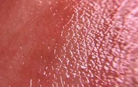 胡歌的前女友们,盘点这些年胡歌的前女友们