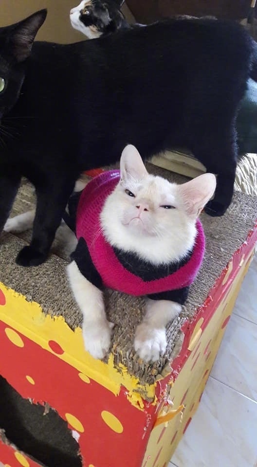 年会抽中11万元,年会抽中iphone