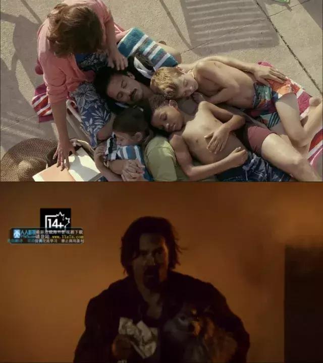 十大最经典的狗狗电影,十部最催人泪下的狗狗电影