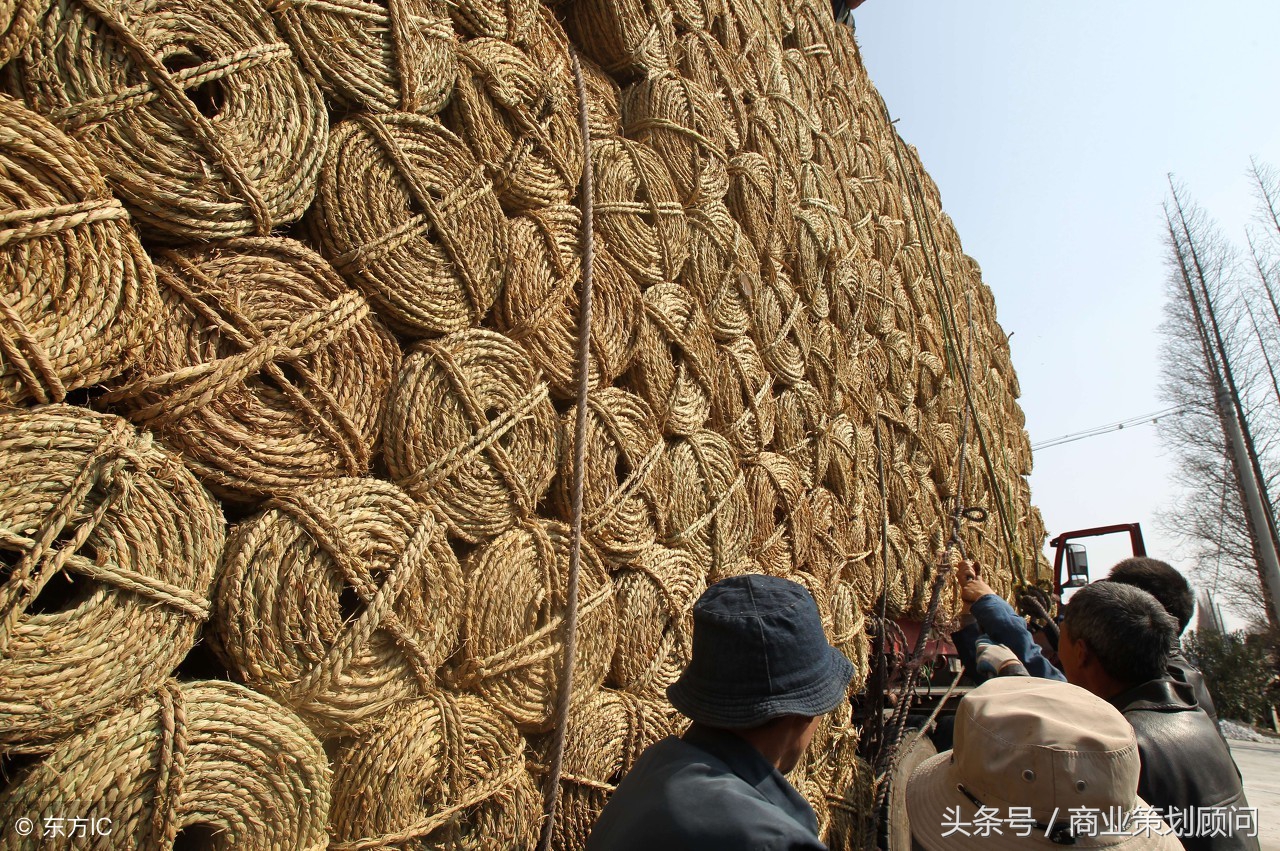 2020年回乡创业好项目,返乡创业有哪些热门项目