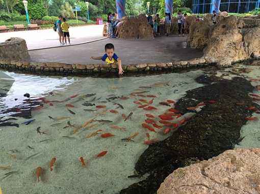 去珠海长隆海洋王国住哪里好,海昌海洋公园和长隆海洋王国