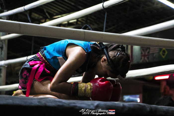 清迈佛寺之城等你采撷的泰北玫瑰,清迈环球旅行家