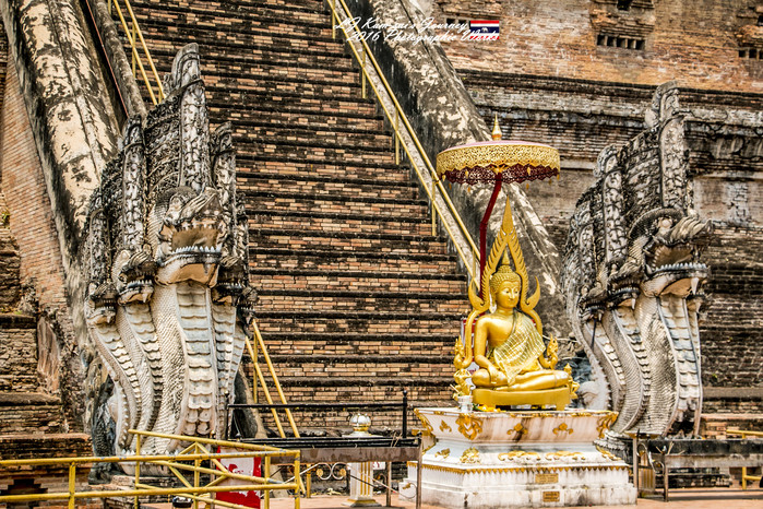 清迈佛寺之城等你采撷的泰北玫瑰,清迈环球旅行家
