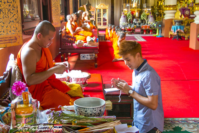 清迈佛寺之城等你采撷的泰北玫瑰,清迈环球旅行家