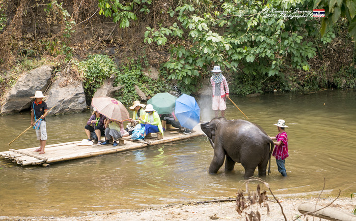 清迈佛寺之城等你采撷的泰北玫瑰,清迈环球旅行家