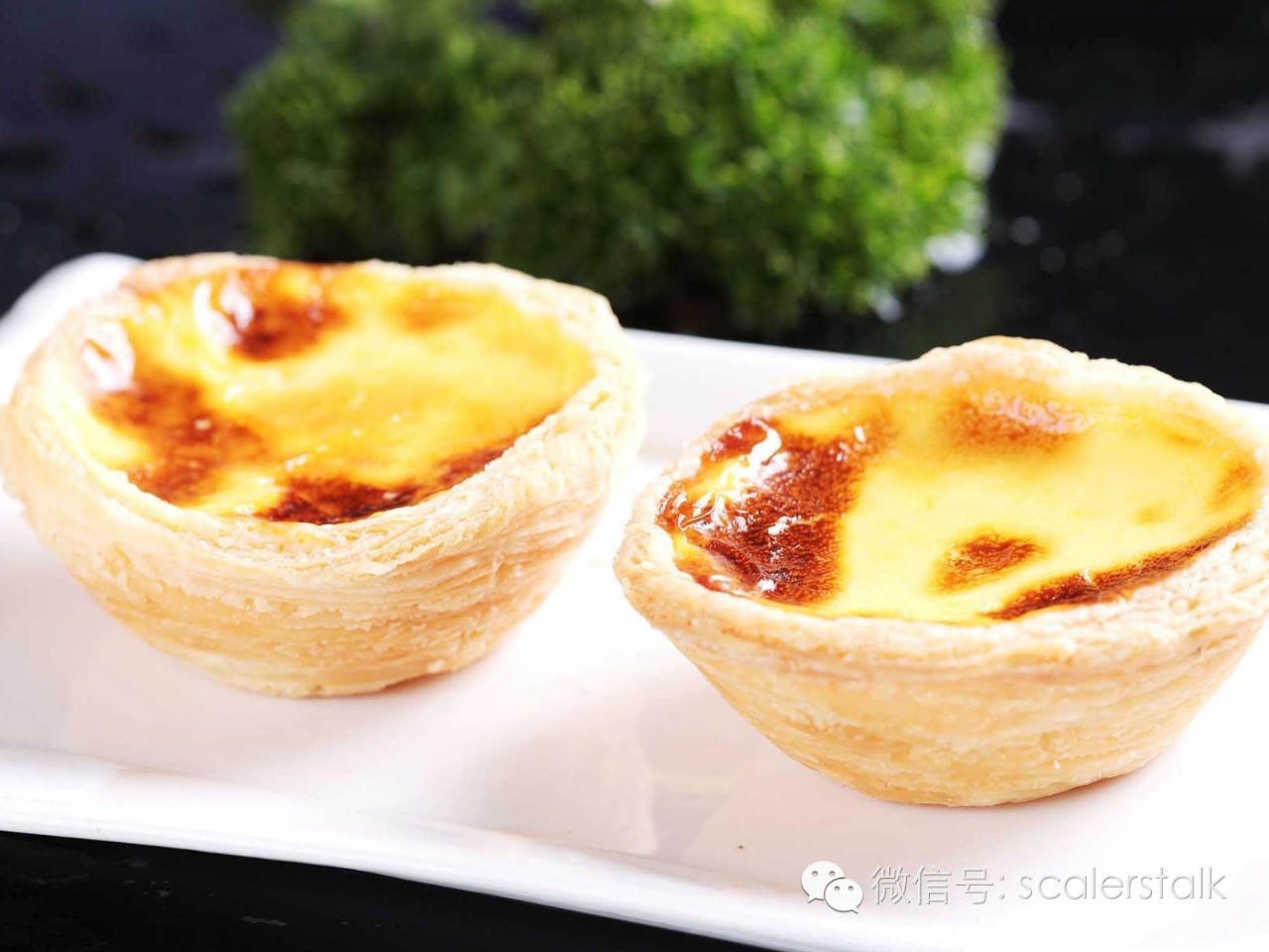 scalerstalk法语,scalerstalk成长会