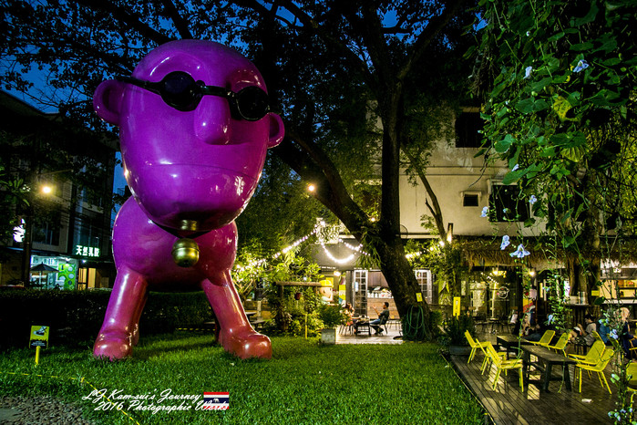 清迈佛寺之城等你采撷的泰北玫瑰,清迈环球旅行家