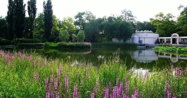 人定湖公园风格,人定湖欧式公园