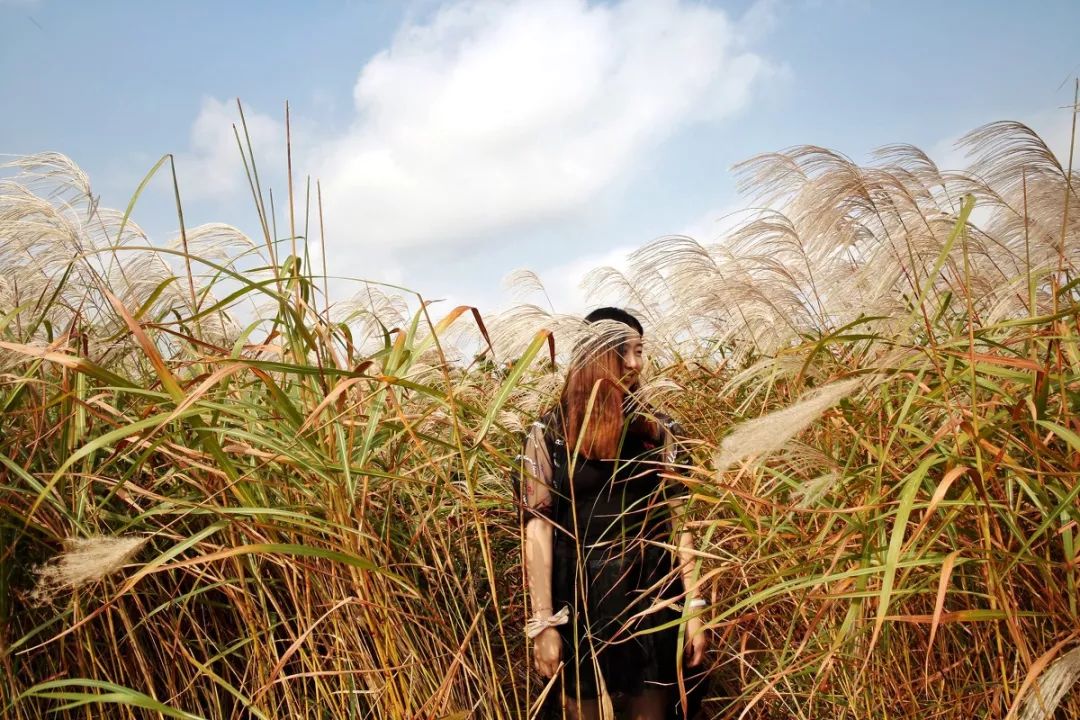 土著带你逛古村,土著带你逛北京